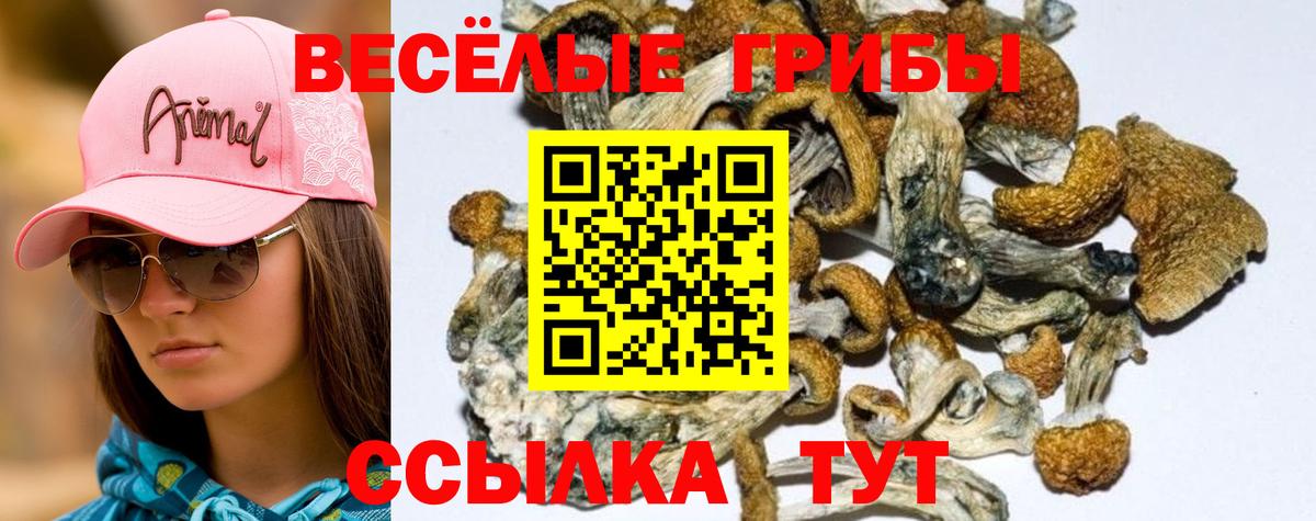 Гашиш  Верхняя Пышма  Меф МЯУ МЯУ   Cocaine  ГАШИШ  Канабис  Вход с VPN 